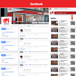 Immobilier et Antiquités